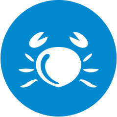 Crostacei e derivati