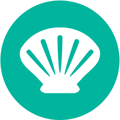 Molluschi e derivati