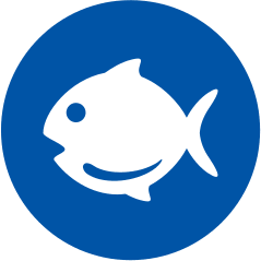 Pesce e derivati