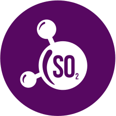 Anidride solforosa e solfiti